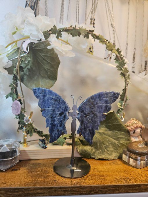 Magnifique "papillon"