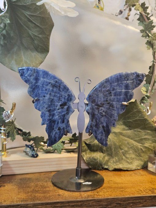 Magnifique "papillon"