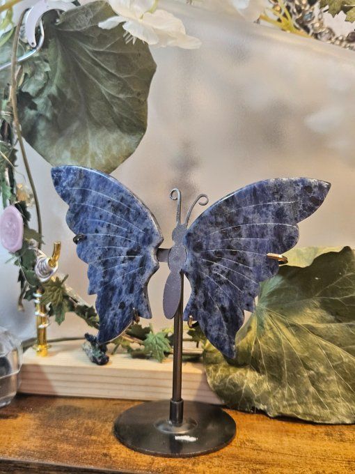 Magnifique "papillon"
