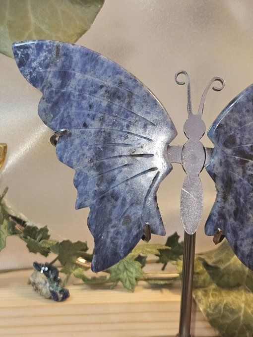 Magnifique "papillon"
