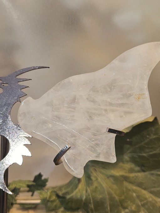 Oh un Dragon!