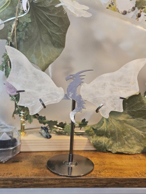 Oh un Dragon!