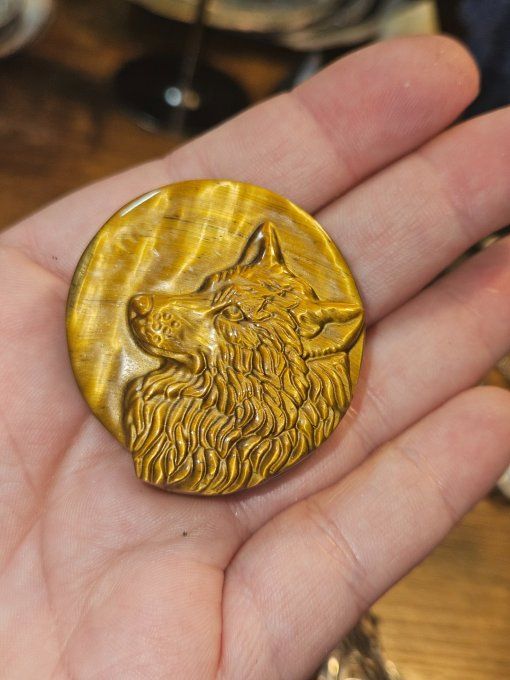 Tête de loup ,oeil de tigre 