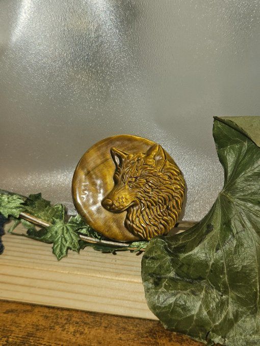 Tête de loup ,oeil de tigre 