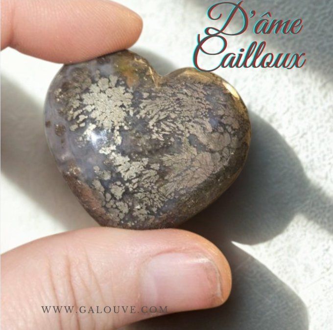 Pyrite coeur de marcassite 