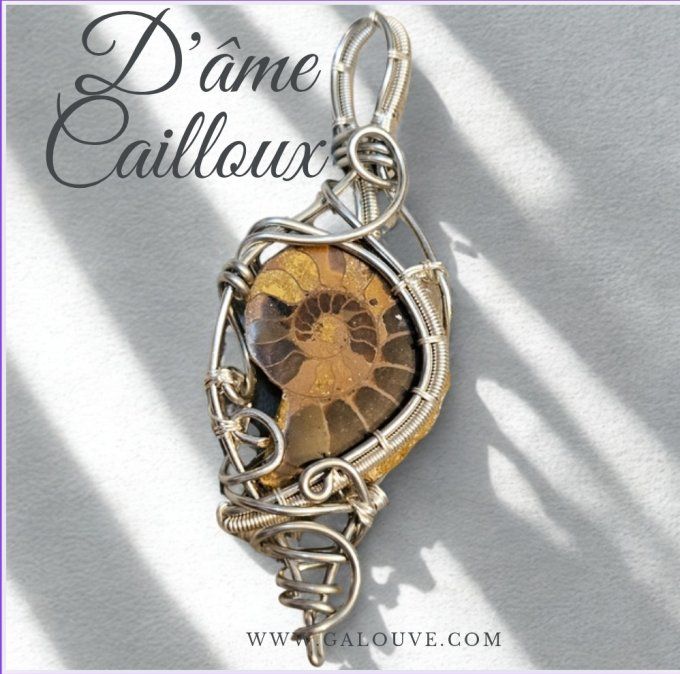 ✨Ammonite 
