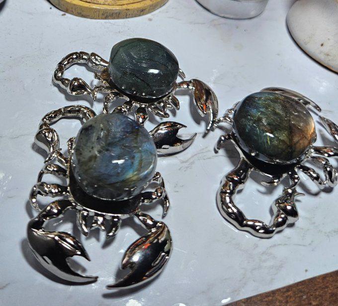 Scorpion Labradorite  