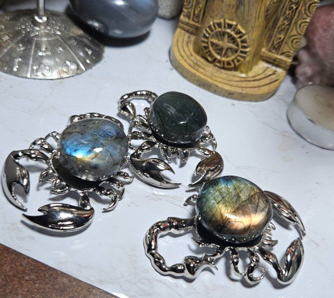 Scorpion Labradorite  