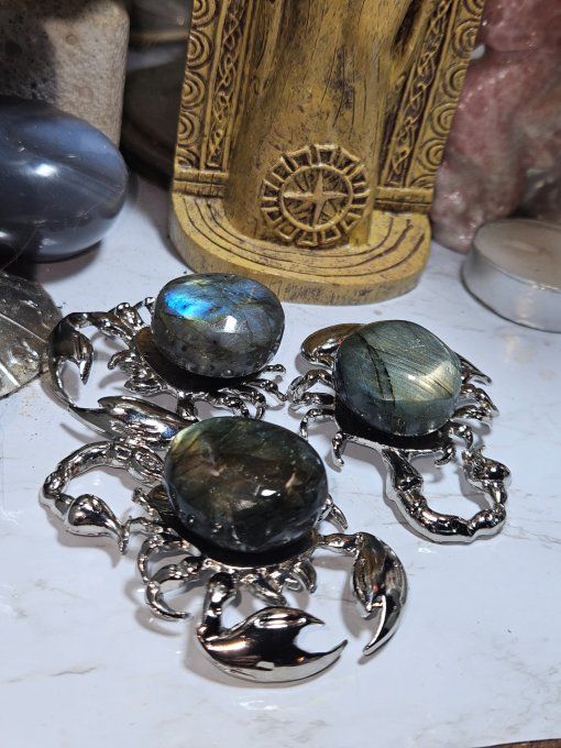 Scorpion Labradorite  