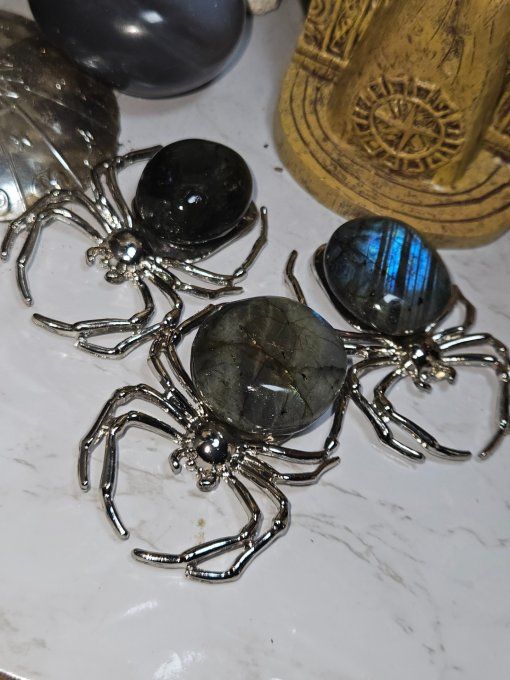 Araignée Labradorite 