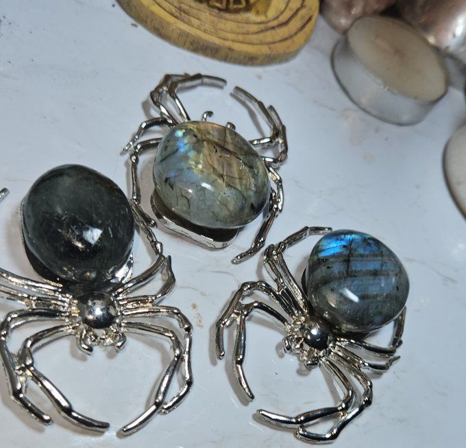Araignée Labradorite 