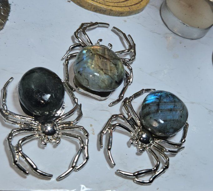 Araignée Labradorite 