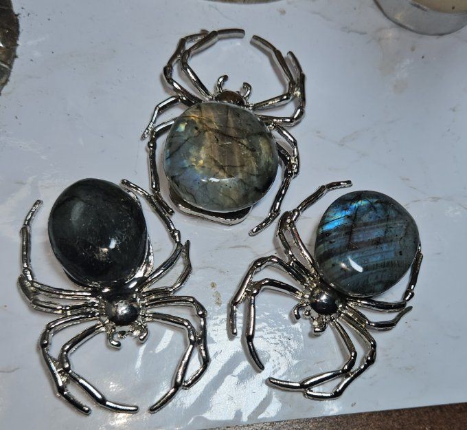 Araignée Labradorite 