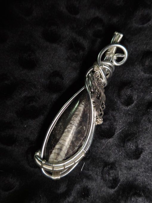 Pendentif Orthoceras ✨Straight Horn ✨