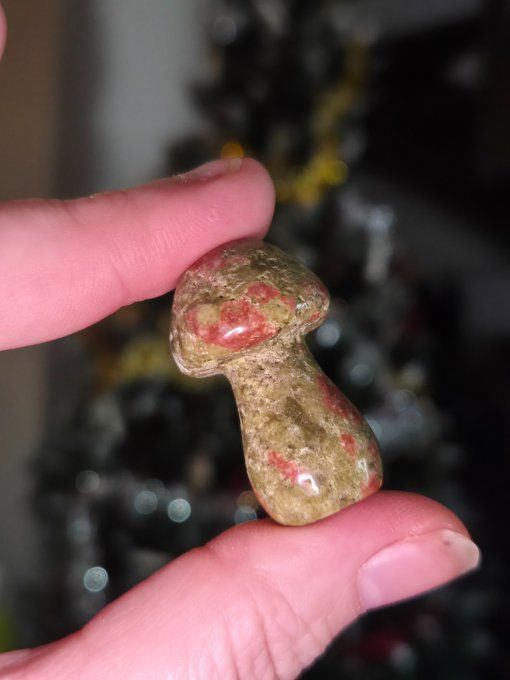 Champignon unakite 6cm