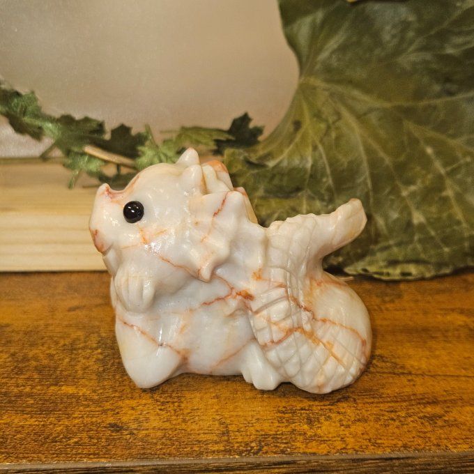 Bébé Dragon jaspe Marbré 