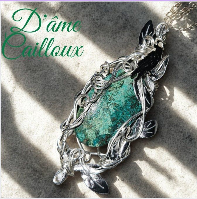 Sylves Chrysocolle 