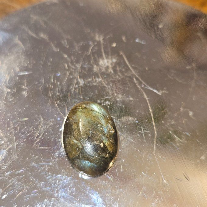 Petites labradorites  - virginie