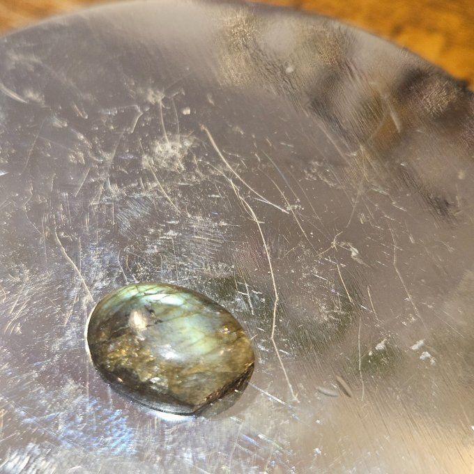 Petites labradorites  - virginie
