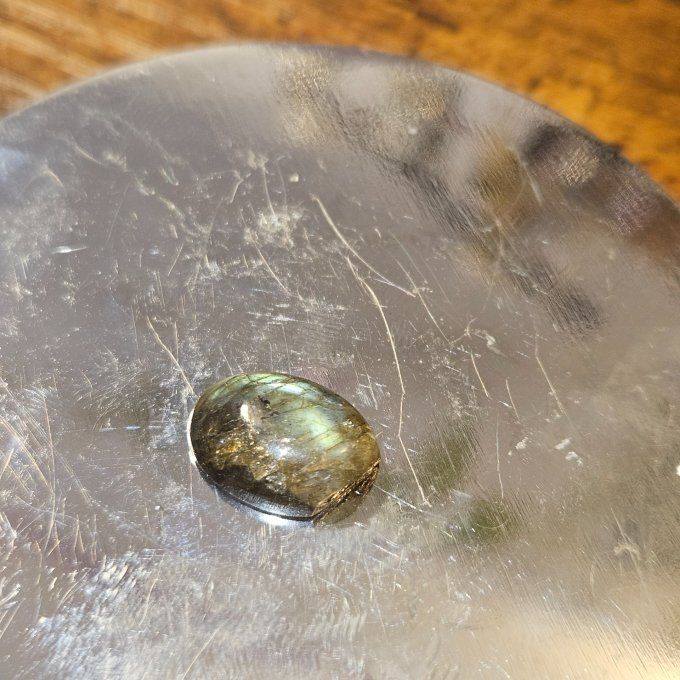 Petites labradorites  - virginie