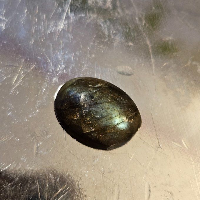 Petites labradorites  - virginie
