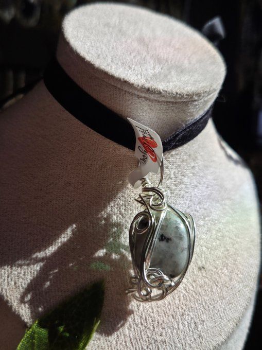 Pomme poison Jaspe kiwi