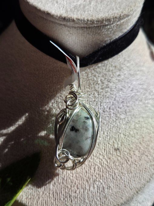 Pomme poison Jaspe kiwi