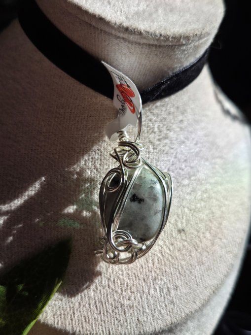 Pomme poison Jaspe kiwi