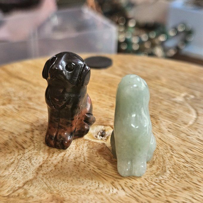 Mini chien ou loup