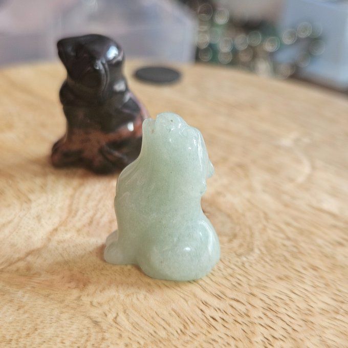 Mini chien ou loup