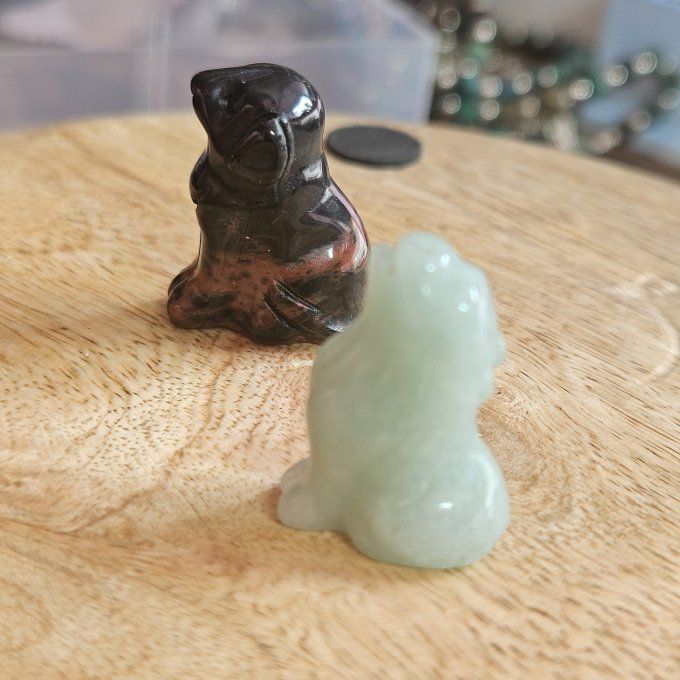 Mini chien ou loup