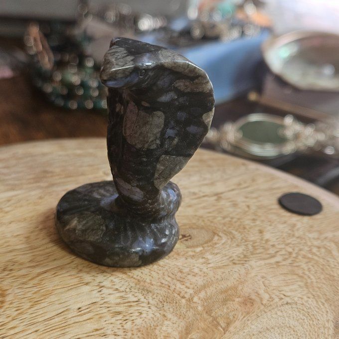 Cobra llanite 6 cm