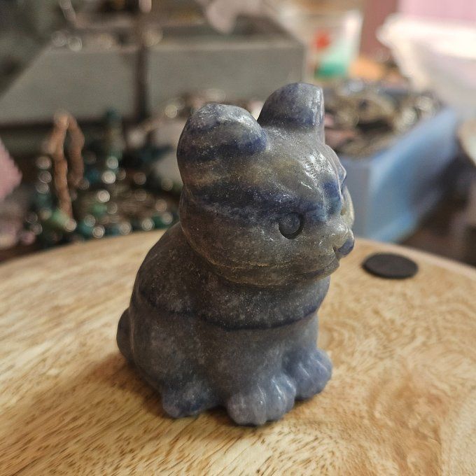 Chaton aventurine bleu 