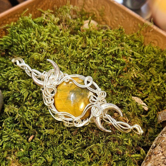 La Nellite✨ Lionskin ✨Pietersite doré  