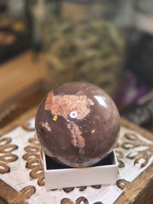 Sphère Bois Fossile 60 Mm – Ancrage, Stabilité & Sagesse  