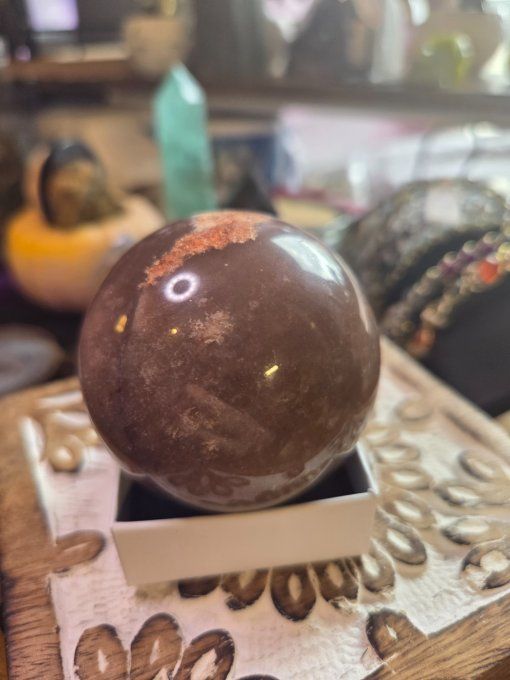 Sphère Bois Fossile 60 Mm – Ancrage, Stabilité & Sagesse  