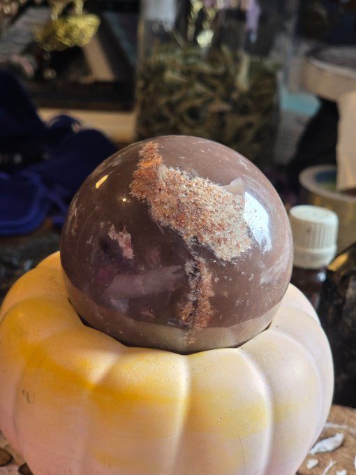 Sphère Bois Fossile 60 Mm – Ancrage, Stabilité & Sagesse  