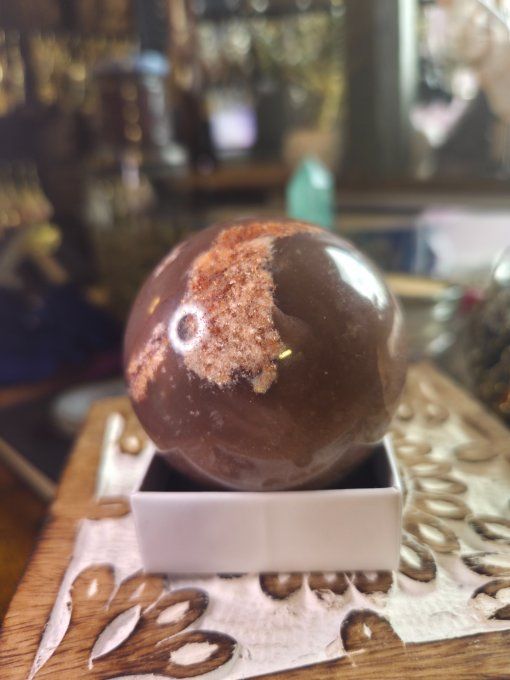 Sphère Bois Fossile 60 Mm – Ancrage, Stabilité & Sagesse  