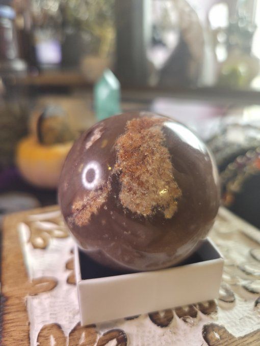 Sphère Bois Fossile 60 Mm – Ancrage, Stabilité & Sagesse  