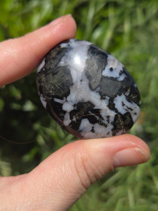 Galet Jaspe Gabbro 