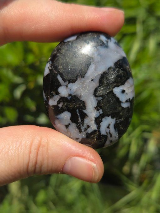 Galet Jaspe Gabbro 