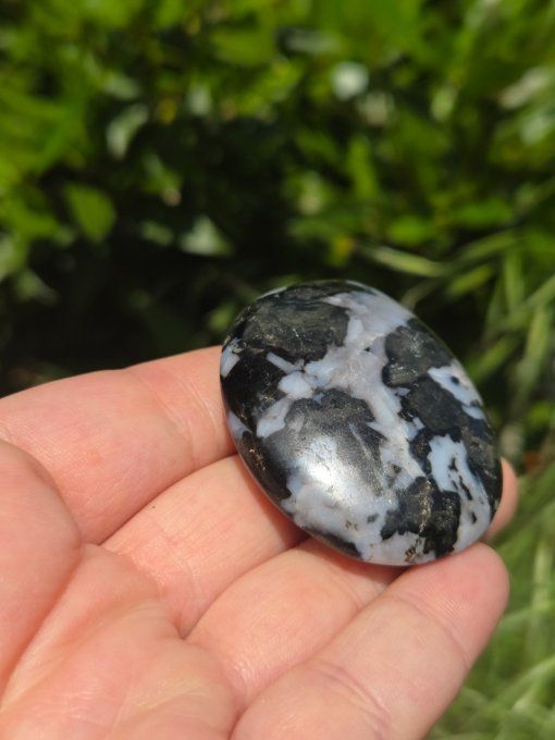 Galet Jaspe Gabbro 