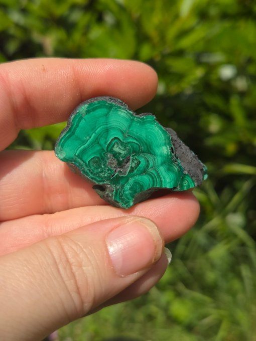 Petite Malachite en tranche