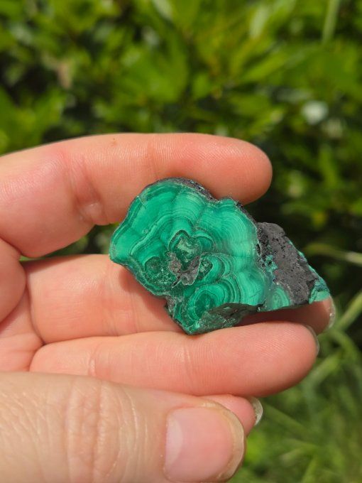 Petite Malachite en tranche