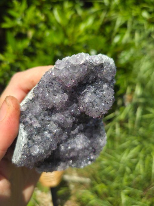 Druse amethyste 