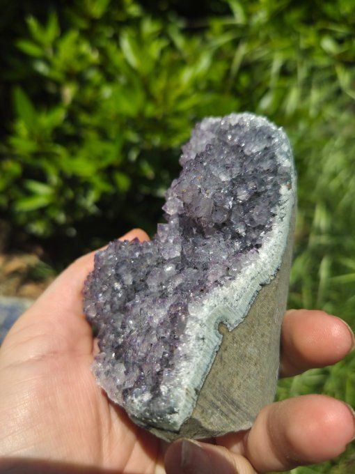 Druse amethyste 
