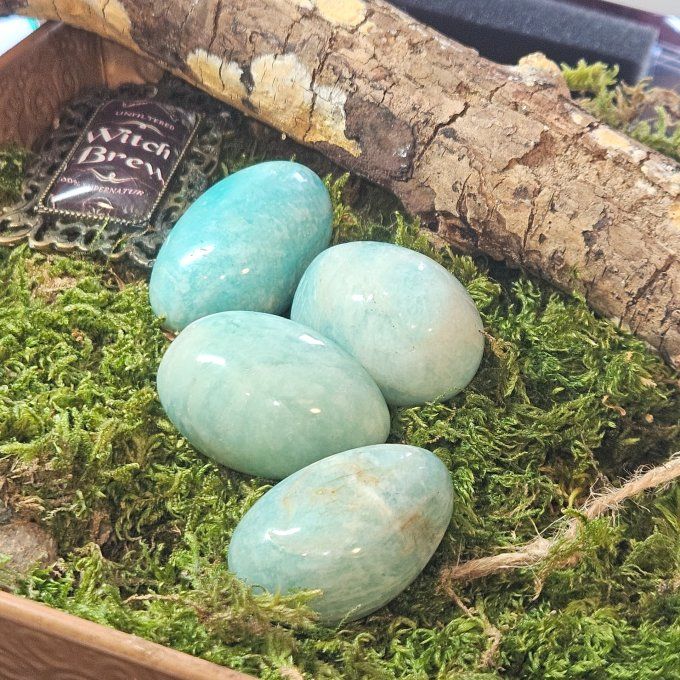 Oeuf d'amazonite 4*2