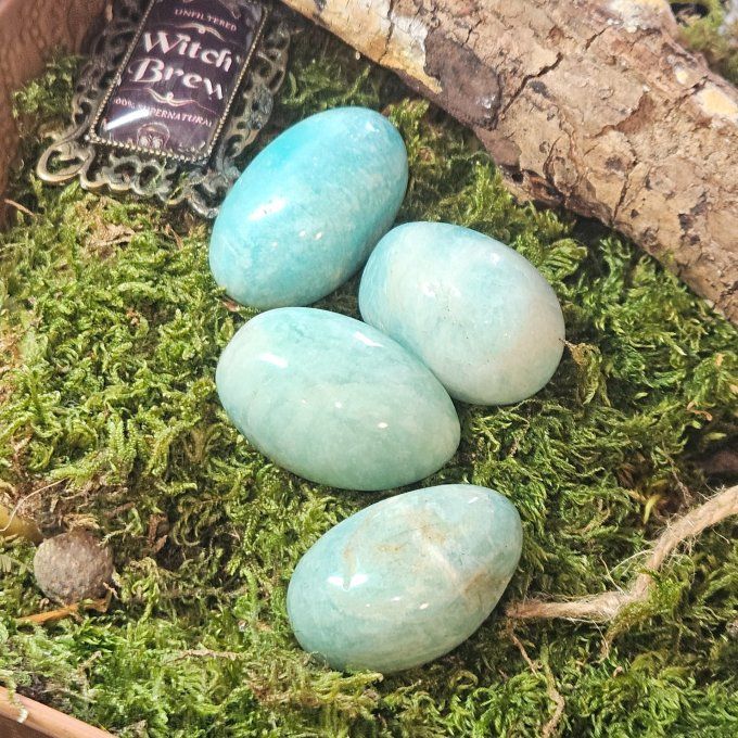 Oeuf d'amazonite 4*2