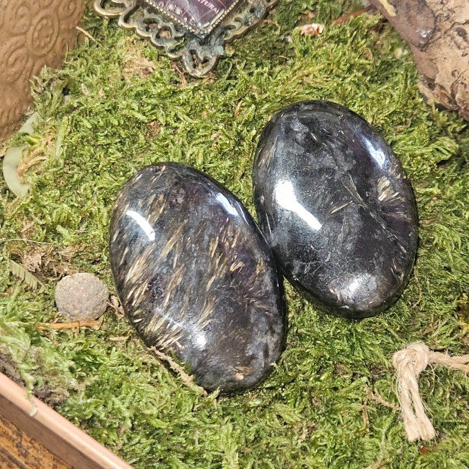 Galet astrophyllite 