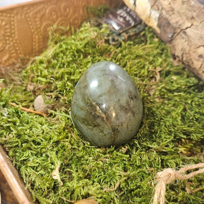 Oeuf labradorite 7*5